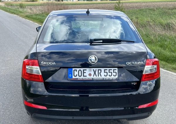 Skoda Octavia cena 42500 przebieg: 187000, rok produkcji 2013 z Dobczyce małe 436